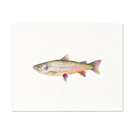 Snoogs & Wilde Art - Bull Trout ~ Art Print: 5x7